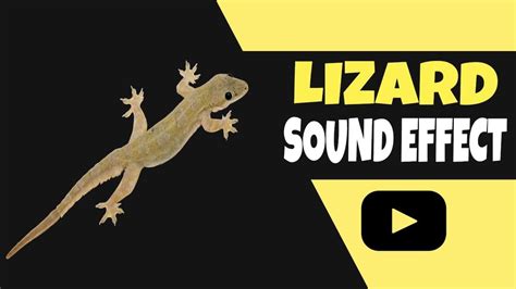 what sound does a lizard make
