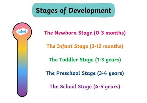 what stage comes after toddler