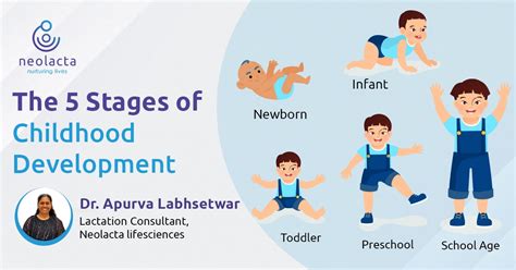 what stage comes after toddlerhood