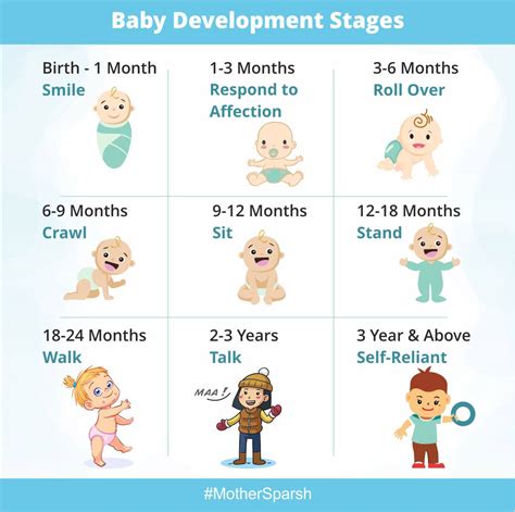 what stage is after infant