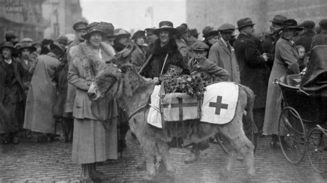what started the red cross