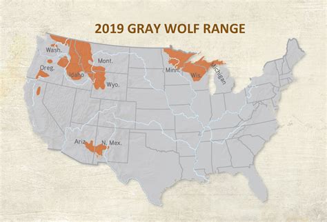what states are wolves found in