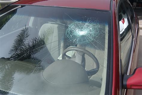 what states replace windshields for free
