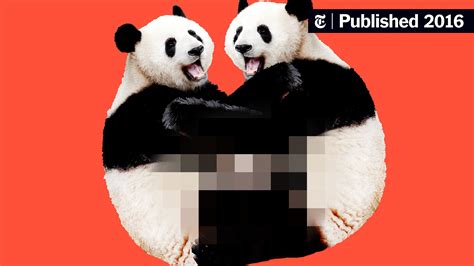 what std do pandas have