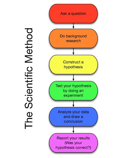 what step comes after making an observation in the scientific method
