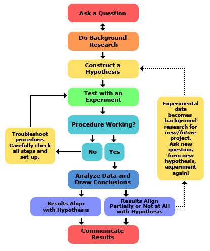 what step follows if a hypothesis is supported in the scientific method