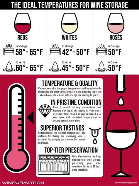 What Temp Should You Keep Wine