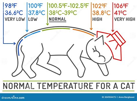 What Temperature Cats Outside