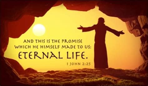 what the bible says about eternal life