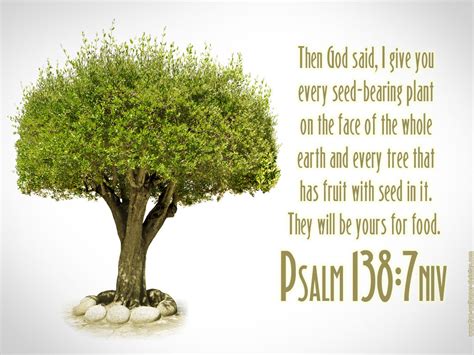 what the bible says about trees