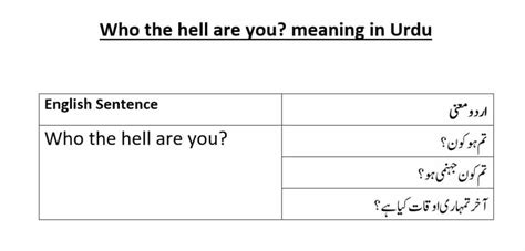 what the hell are you meaning in urdu with example