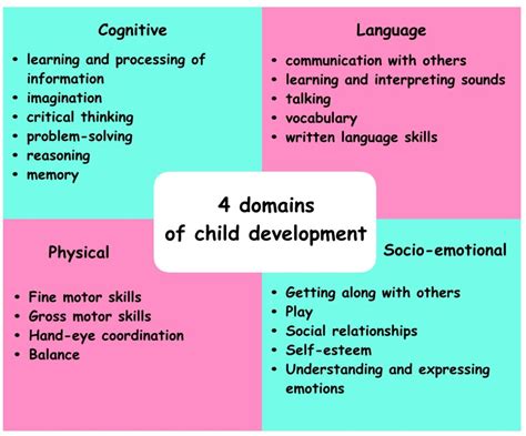 what three fields of study is child development comprised of