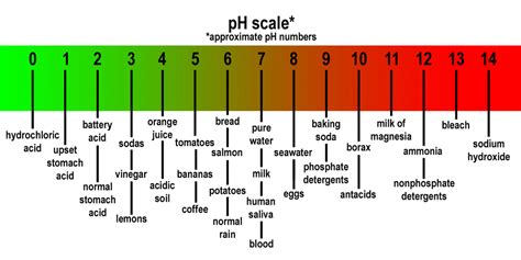 What Throws Your Ph Level Off