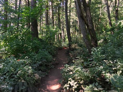 What Time Does Abby Grind Open