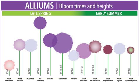 What Time Does Bloom Close