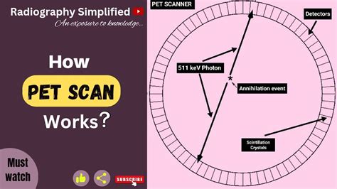 What Time Does Pet Central Close