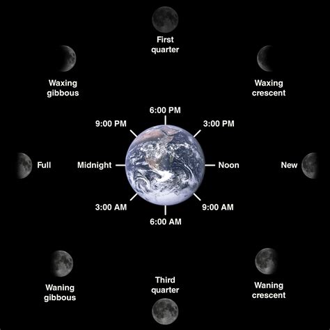 what time does the moon usually rise