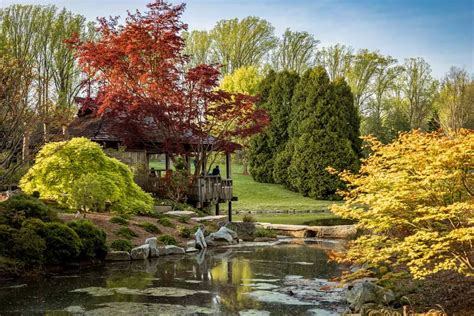 Moving To Silver Spring MD YouTube