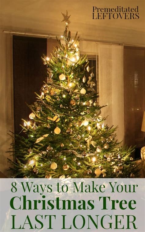 What To Add To Christmas Tree To Make It Last Longer