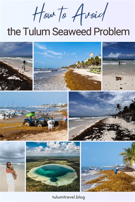 What To Avoid In Tulum