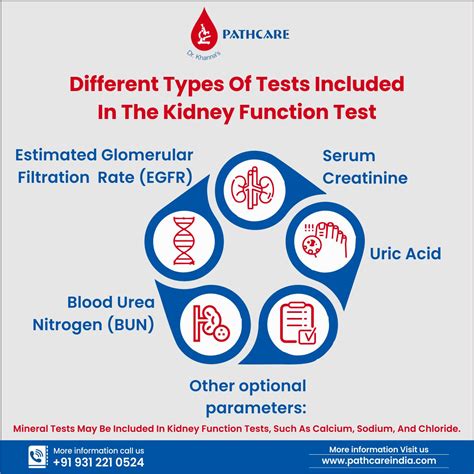 what to check for kidney function