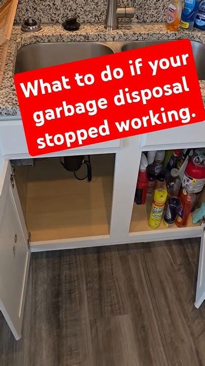 What To Check If Garbage Disposal Stops Working