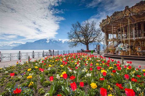 what to do at montreux