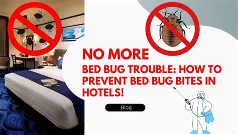 What To Do If Bit By Bed Bug In Hotel