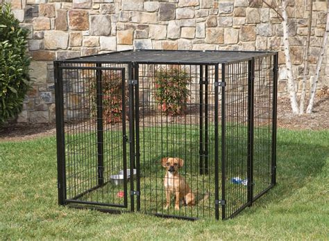 What To Do If You Don't Have A Fence For Your Dog