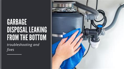 What To Do If Your Garbage Disposal Is Leaking