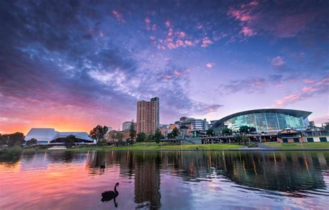 what to do in adelaide cbd
