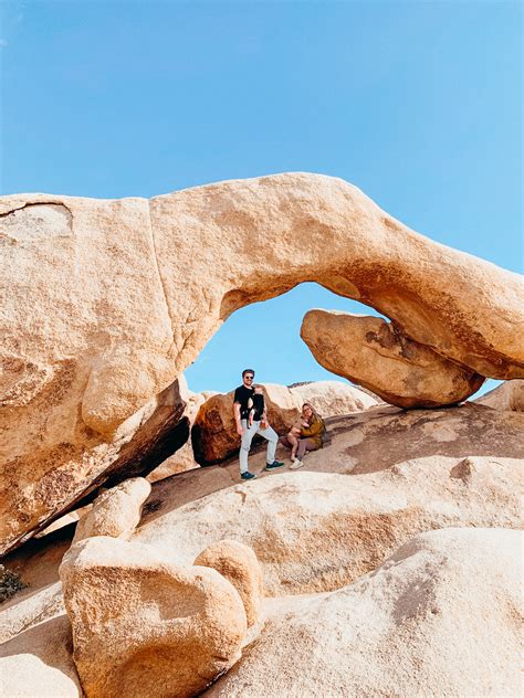 What To Do In Joshua Tree In February