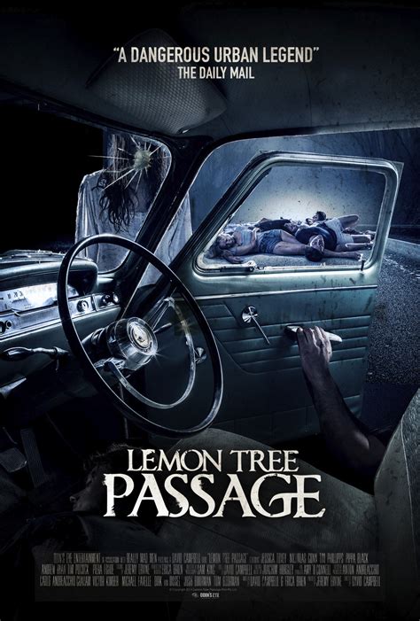 What To Do In Lemon Tree Passage