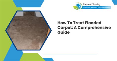 What To Do When Carpet Is Flooded