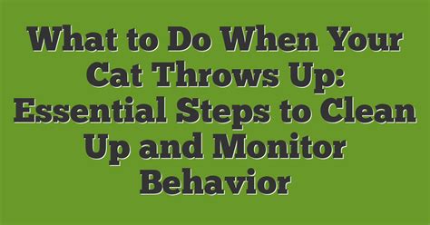 What To Do When Cat Throws Up