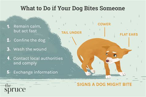 what to do when dog bites owner