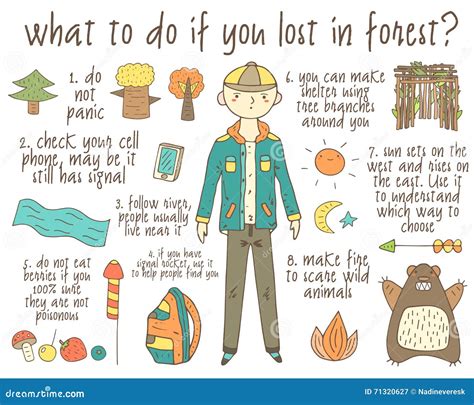 What to Do if You Are Lost in a Forest American Forests