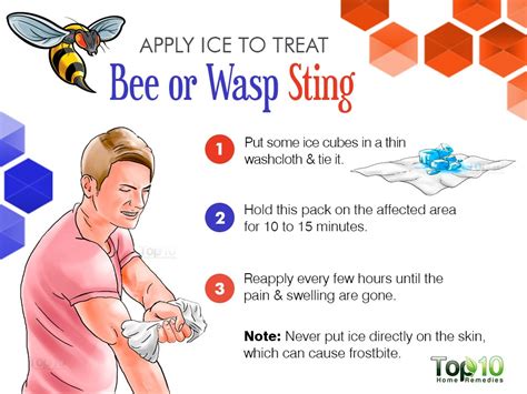 what to do when stung by a wasp