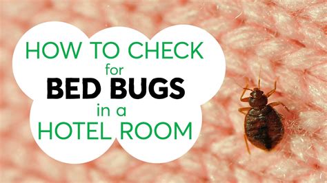 What To Do When You Stayed In A Hotel With Bed Bugs