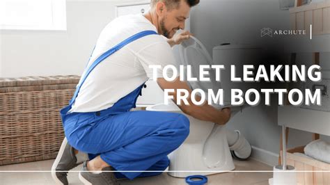 What To Do When Your Toilet Is Leaking From The Bottom
