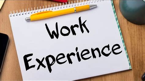 what to do with a work experience student