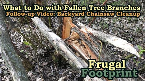 What To Do With Fallen Tree Branches