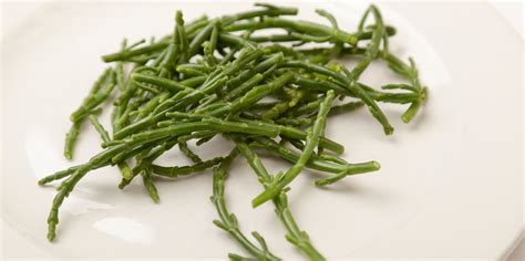 what to do with samphire