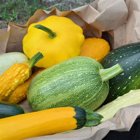 What To Do With Squash Vegetable