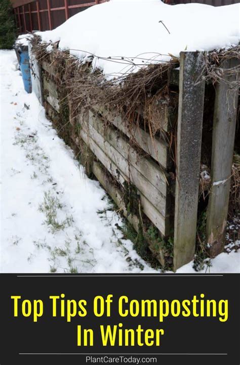 What To Do With Your Compost In The Winter