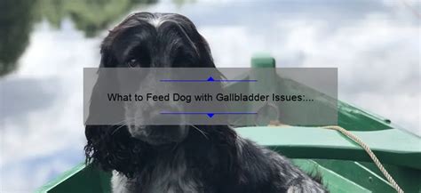 What To Feed A Dog With Gallbladder Problems