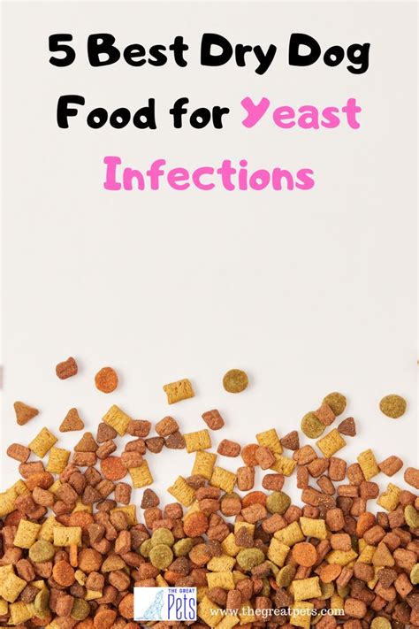 What To Feed A Dog With Yeast Problems