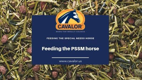 what to feed a horse with pssm