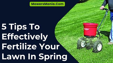 When and How to Fertilize Your Lawn in the Spring Toro Yard Care