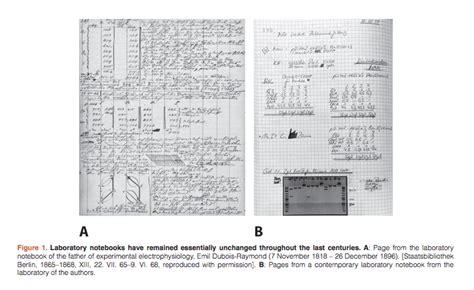 what to include in a lab notebook